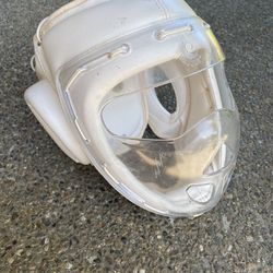 Martial Arts Full face gear
