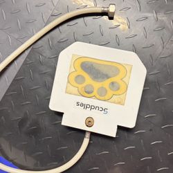 Scuddles Dog Waterspout 