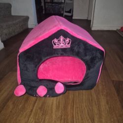Beand New Cat Bed