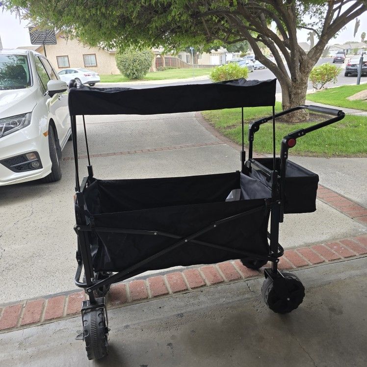 Wagon With Canopy 