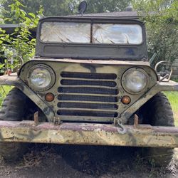 Decommissioned military mutt “Jeep”
