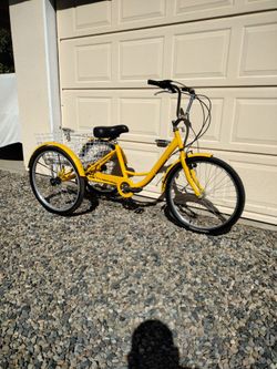 24" tricycle