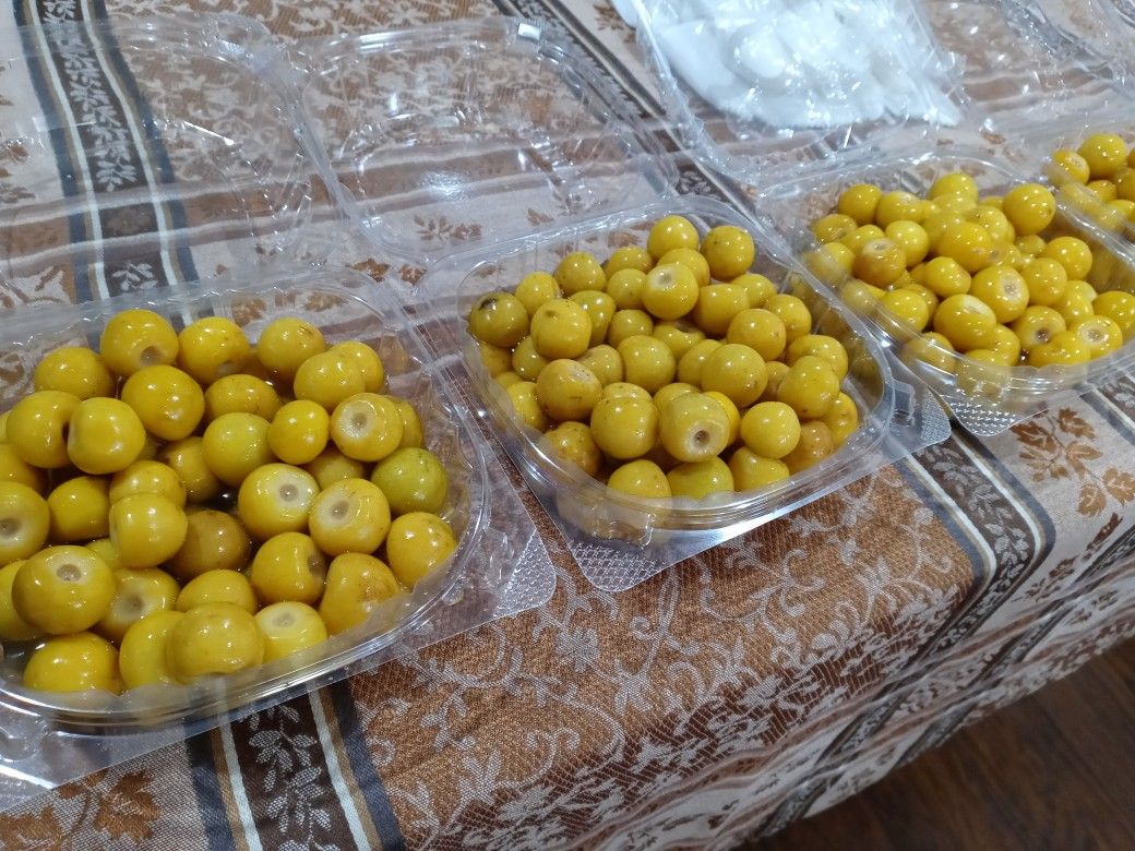 VENDO POR MAYOR OH POR MENOR MANGO TIERNO NANCE JOCOTE COYULES EN MIEL TEJOCOTE ROJO EN MIEL ALFAJOR DE COCO CONSERVA DE COCO MIEL DE ABEJA