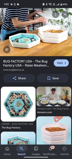 Bug factory mealworm kit