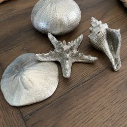 Silver Shell, Urchin, Starfish & Sand Dollar