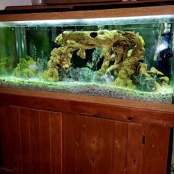 75 Gal Fish Tank 