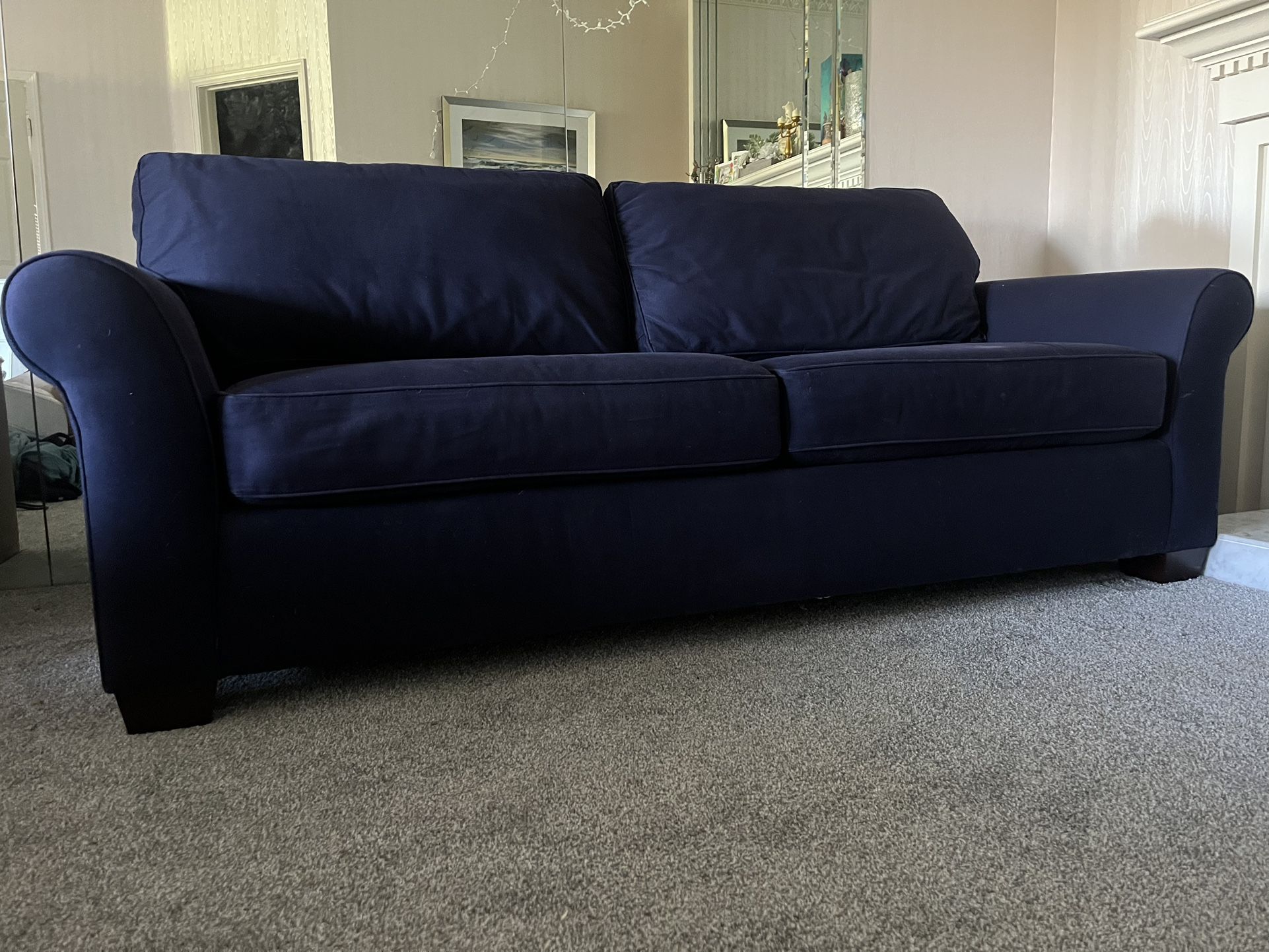 Pull Out Couch / Sleeper Sofa