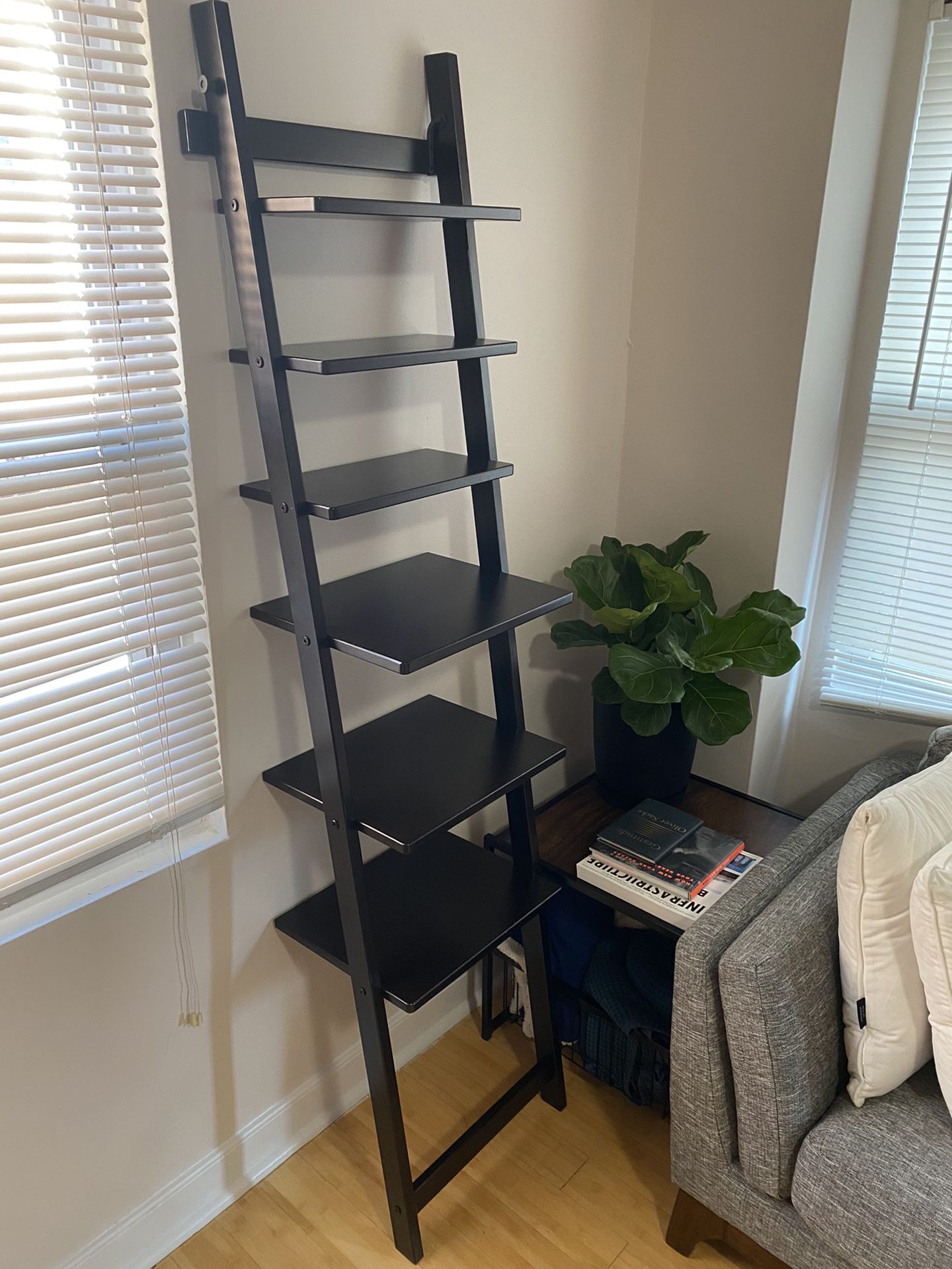 Black Ladder Bookshelf