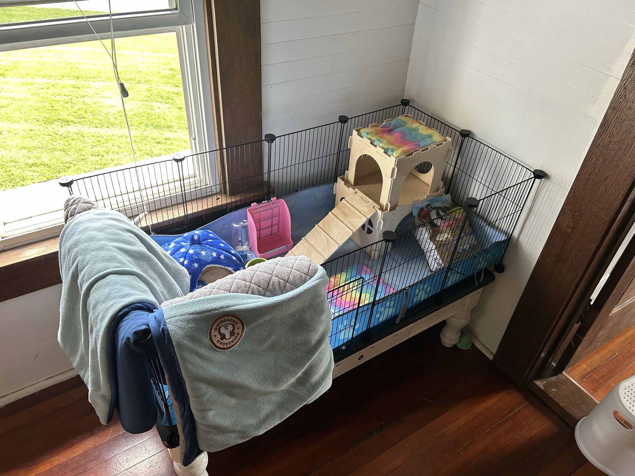Guinea Pig Cage Package