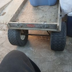 Wagon