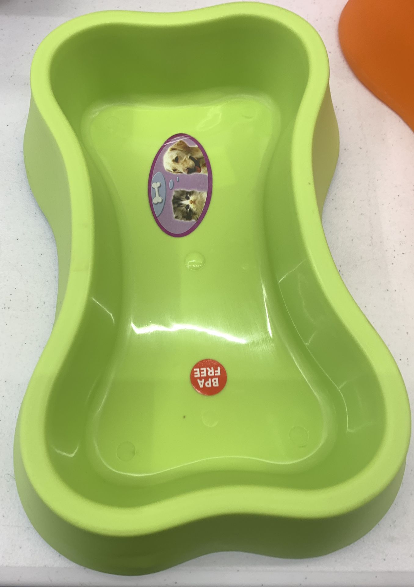 Food Holder For Dogs