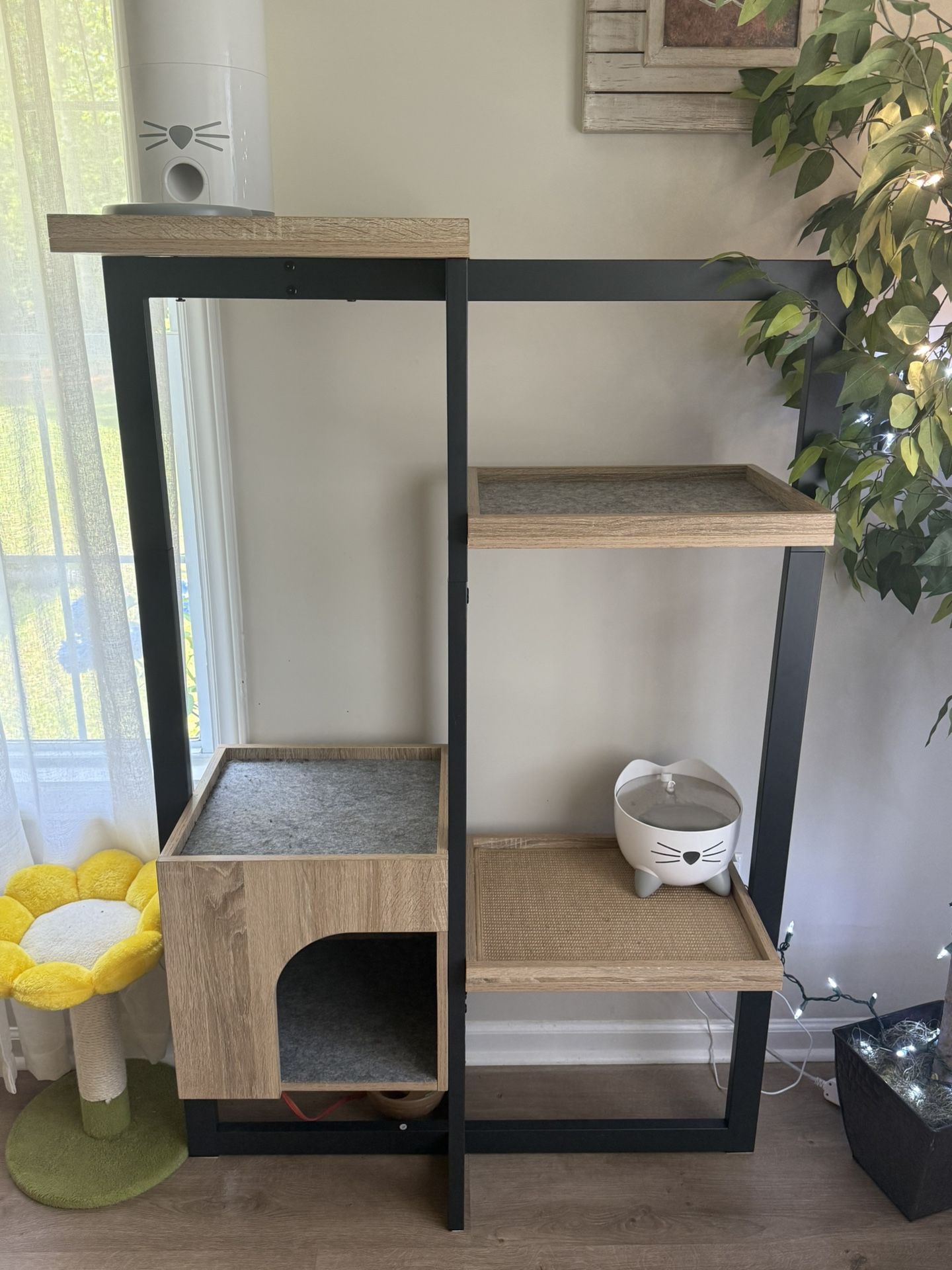 Cat Jungle Gym