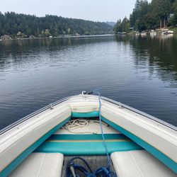 1993 Seaswirl 195 SE