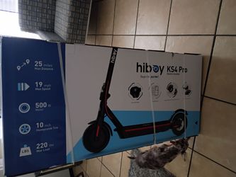 Electric Adult Scooter