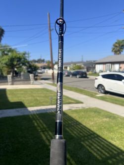 Seeker Jigging Rod