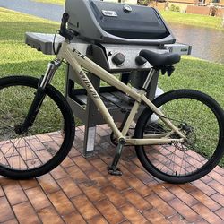 P.1 Specialist Mountain Bike