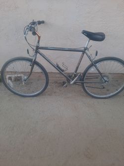 Schwinn