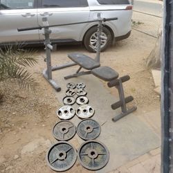 Olympic Weights 245lbs Bench/Squat Rack Barbell 