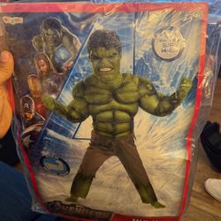Hulk Costume