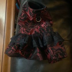 Dog Coat