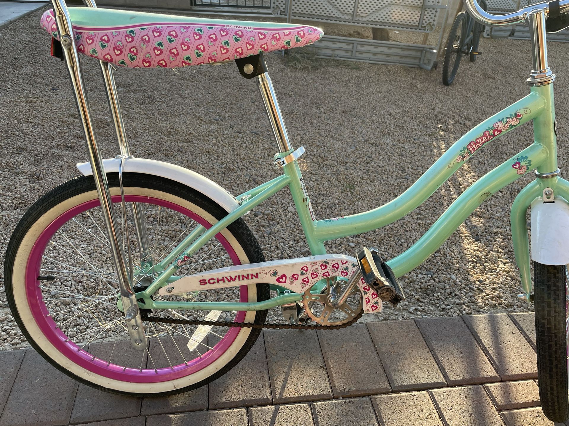 20’ Schwinn Bike turquoise and Pink