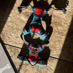 Rabbitgoo Harness Size Small