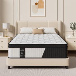 Queen Hybrid Mattress 12 Inch in a Box, Cooling Gel Memory Foam & Pocket Springs, Medium Firm, Pressure Relief & Motion Isolation, Extra Edge Support,