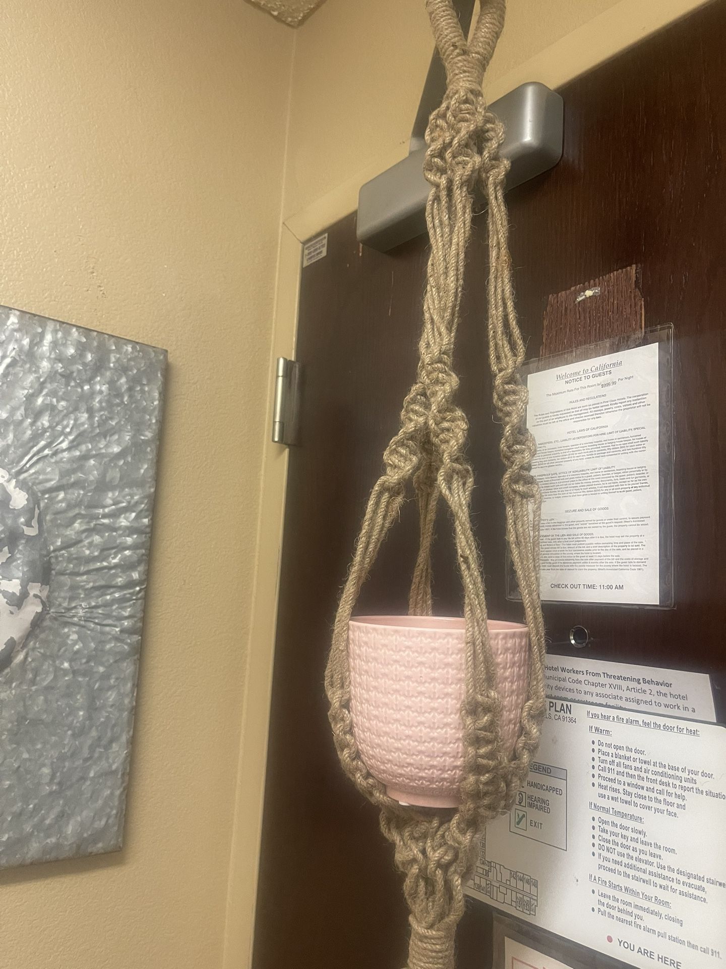 Macramé Potholder With Pink Ceramic Pot