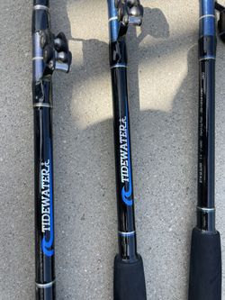 Shakespeare Tidewater Big water Stand Up Casting Rod