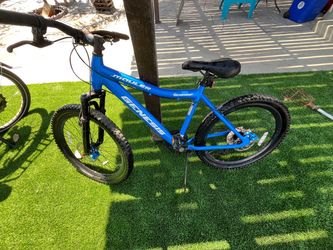 Blue Mountain Bike