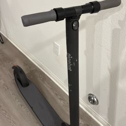 Segway Ninebot Kickscooter E22