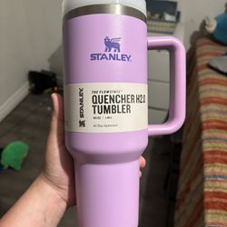 Purple Stanle Cup
