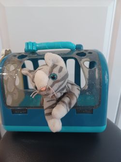Cat And Cat Carrier Toy