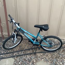 Semi-new girls' mountain bike with gears, works well, size 20, has new tyres, asking for $35, firm price.