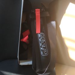 5-Point Harness Seat Belt.