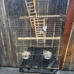 Bird Cage 