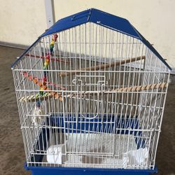Small Birds Cage 