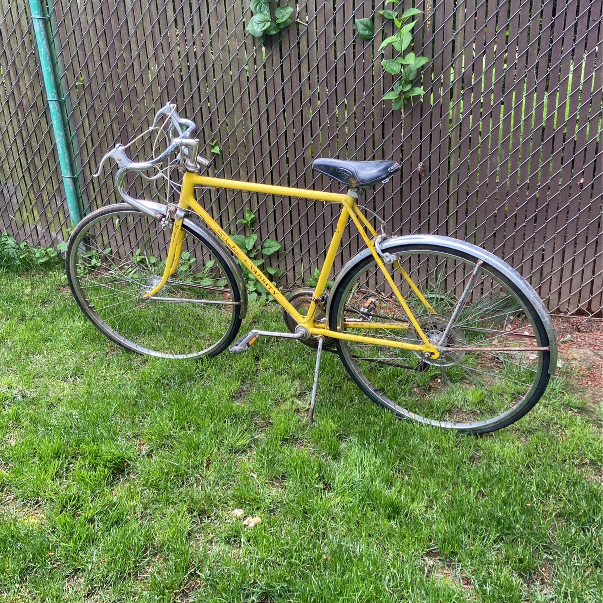 Schwinn Varsity Bike