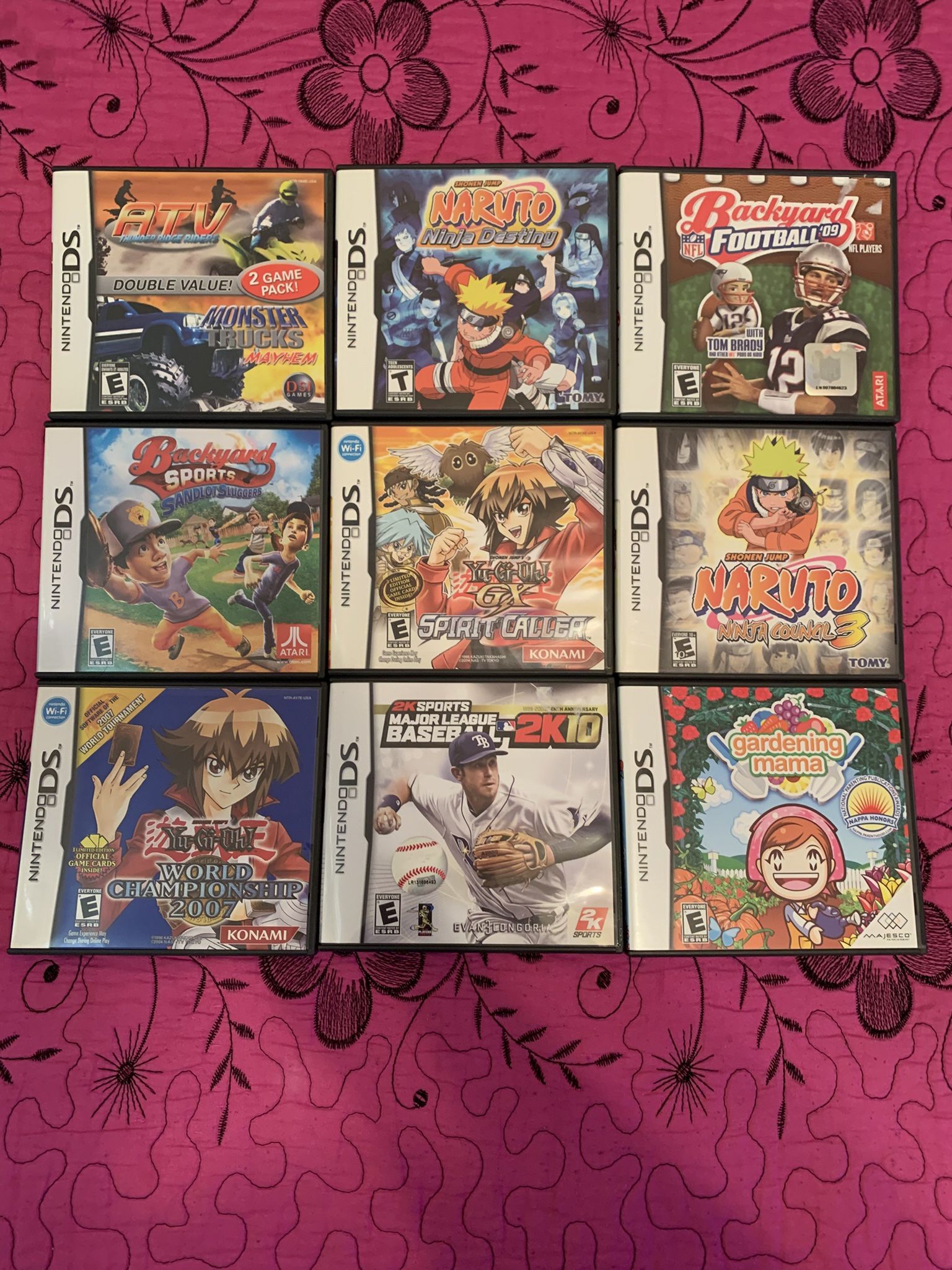 Nintendo DS Bundle