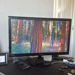 Asus Monitor