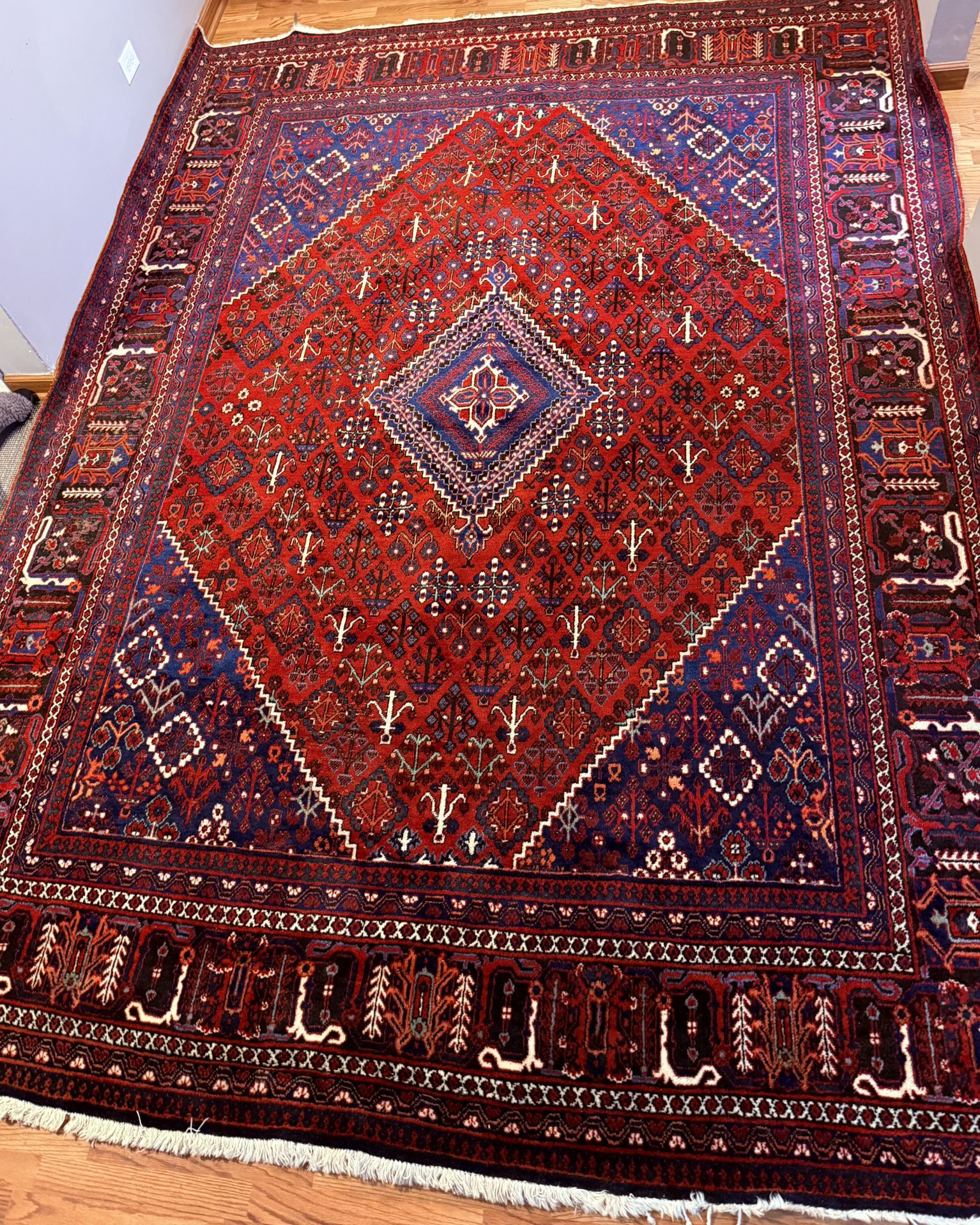 Handmade Persian-Style Rug  