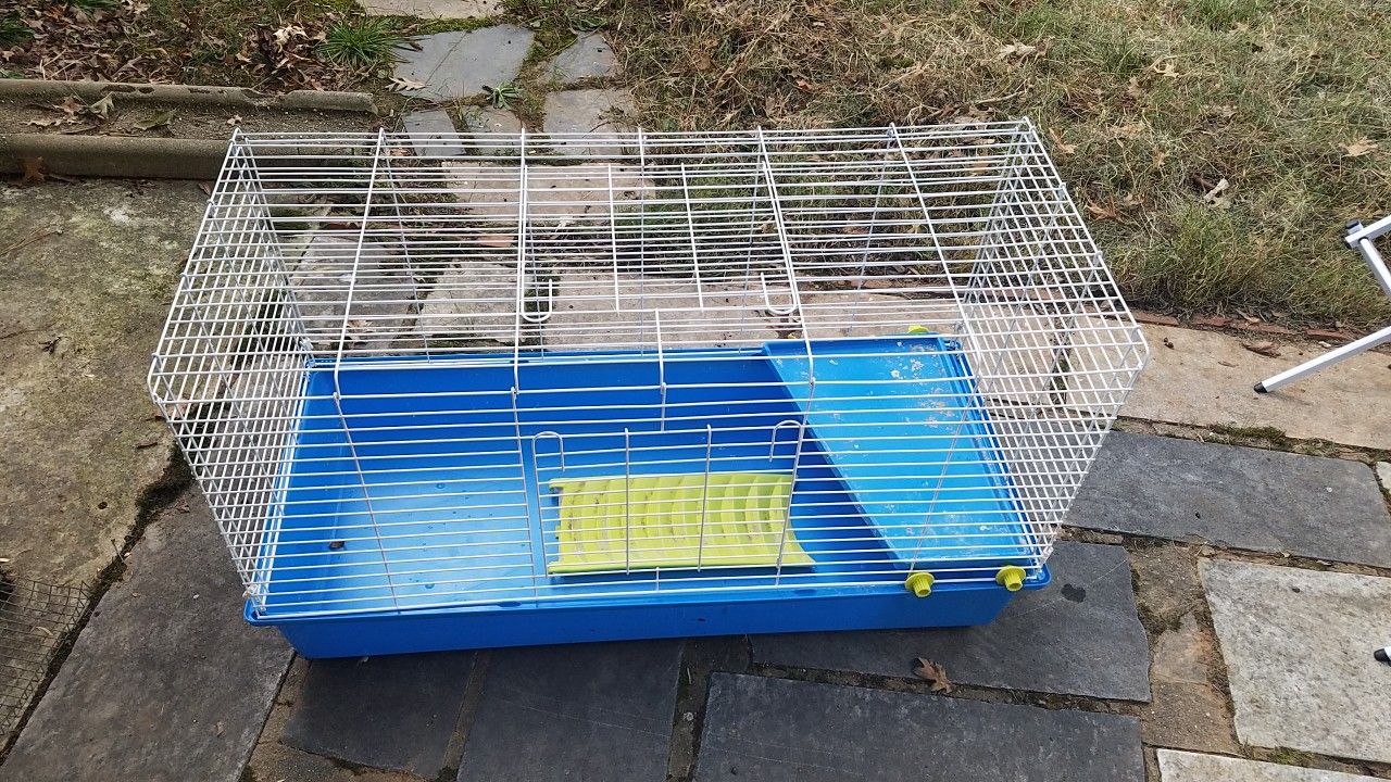 Petsmart rabbit cage for Sale in Durham, NC OfferUp