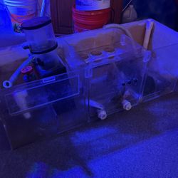 Fish Tanks