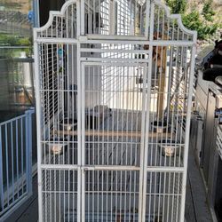 Bird Cage