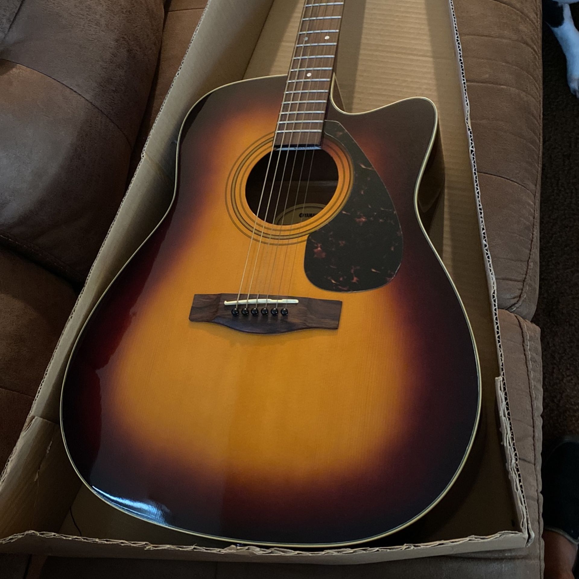 Guitar  Acoustic Electric 