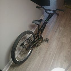Adam's Compact FolderTrail-A-Bike 