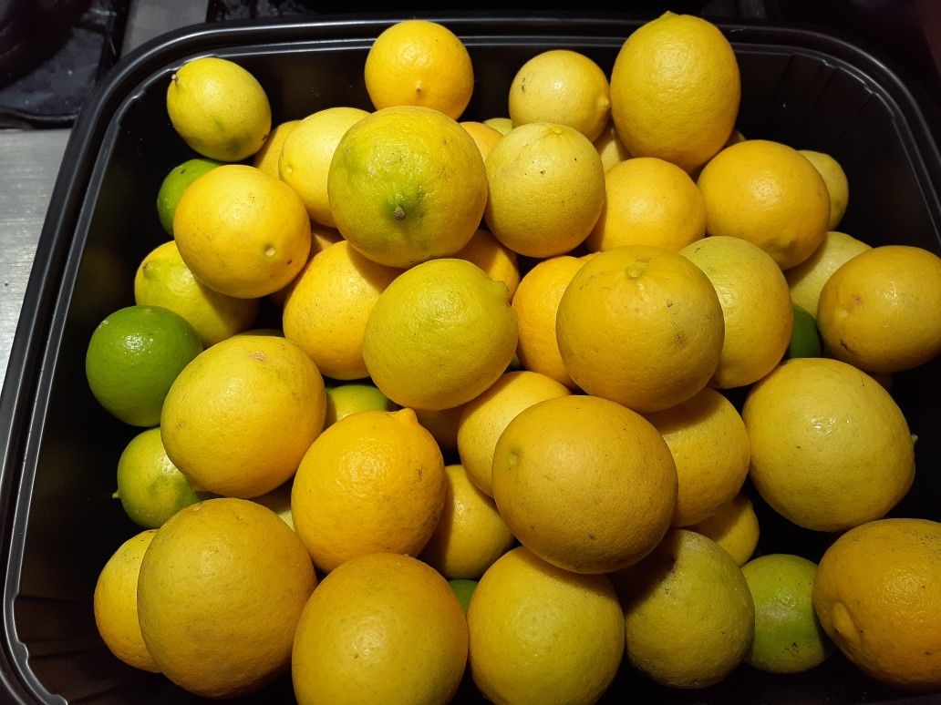 20 for $1,00 LIMONES ORGANICOS FROM MY TREE