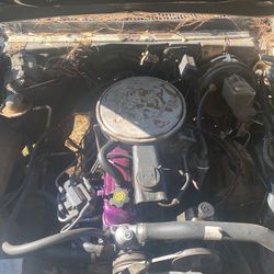Chevrolet Inline 6 Cy Engine 250cid