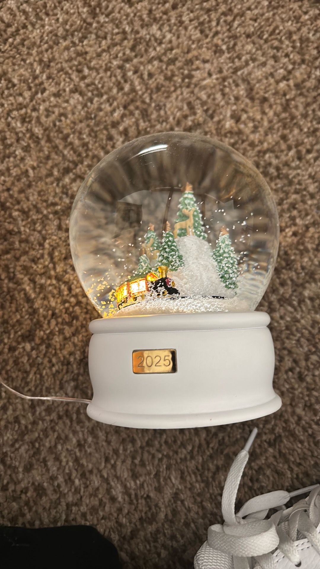 2025 snow globe