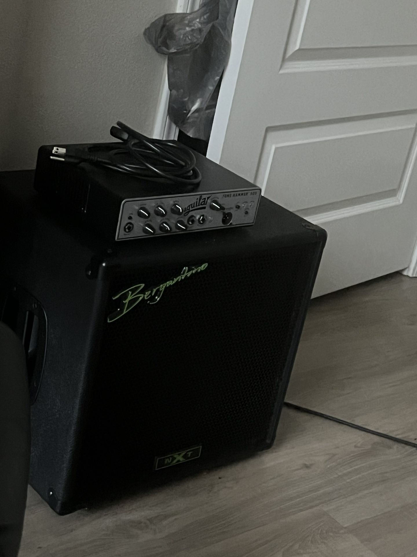 bergantino nxt Bass Cabinet